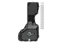 Thumbnail for Photo - Unmounted