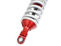 Thumbnail for Photo - Unmounted