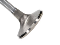 Thumbnail for Photo - Primary