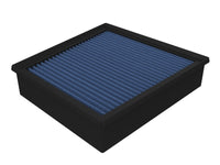 Thumbnail for Photo - Primary