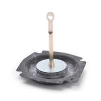 Thumbnail for Photo - Primary