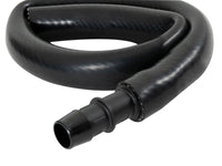 Thumbnail for Photo - Unmounted