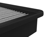 Thumbnail for Photo - Unmounted