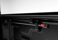 Thumbnail for Photo - Mounted