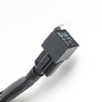 Thumbnail for Photo - Close Up