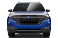 Thumbnail for Photo - Close Up