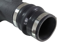 Thumbnail for Photo - Unmounted