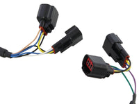 Thumbnail for Photo - Unmounted