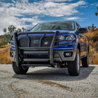 Thumbnail for Photo - Mounted