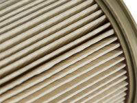 Thumbnail for Photo - Unmounted