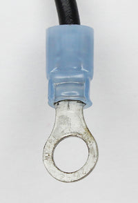 Thumbnail for User 5