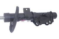 Thumbnail for Photo - Primary