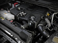 Thumbnail for Photo - Mounted