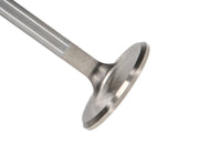 Thumbnail for Photo - Primary