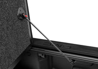 Thumbnail for Photo - Mounted