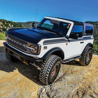 Thumbnail for Photo - Mounted