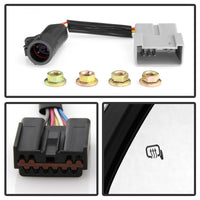 Thumbnail for Photo - Unmounted