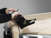 Thumbnail for Photo - Primary