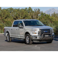 Thumbnail for Photo - Mounted