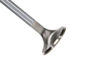 Thumbnail for Manley 96-98 Ford Modular 4.6L w/Bead Loc Groove 34mm Race Master Exhaust Valve - Set of 8