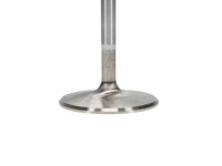 Thumbnail for Manley Chrysler Hemi 6.1L w/ Triple Groove 2.100in Race Flo Intake Valves (Single Valve)