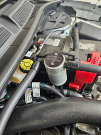 Thumbnail for Photo - Close Up