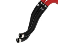 Thumbnail for Photo - Unmounted