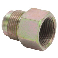 Thumbnail for Photo - Primary