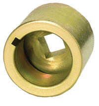 Thumbnail for Photo - Primary