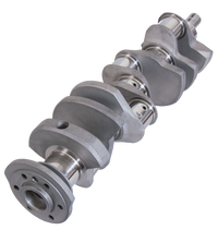 Thumbnail for Photo - Primary