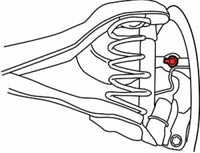 Thumbnail for Photo - Unmounted