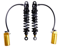 Thumbnail for User 1