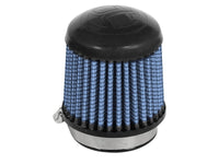 Thumbnail for Photo - Primary