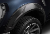 Thumbnail for Photo - Mounted