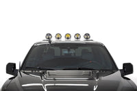 Thumbnail for Photo - Mounted