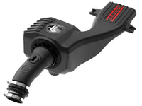 Thumbnail for Photo - Unmounted