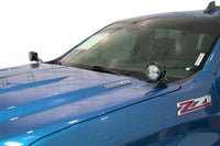 Thumbnail for Photo - Mounted