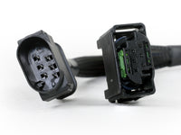 Thumbnail for Photo - Unmounted