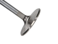 Thumbnail for Photo - Primary