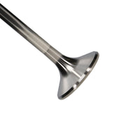 Thumbnail for Photo - Primary