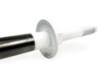 Thumbnail for Photo - Unmounted