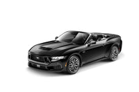 Thumbnail for Photo - Mounted