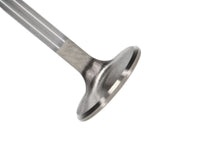 Thumbnail for Photo - Primary