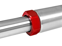 Thumbnail for Photo - Unmounted