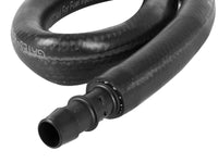 Thumbnail for Photo - Unmounted