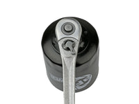 Thumbnail for Photo - Mounted