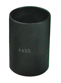 Thumbnail for Photo - Primary