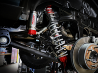 Thumbnail for Photo - Mounted