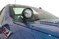 Thumbnail for Photo - Mounted