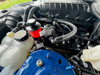 Thumbnail for Photo - Mounted